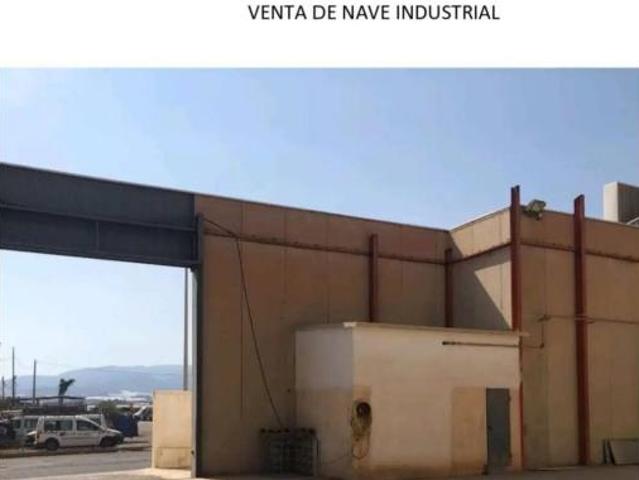 Nave en venta en Santa María del Águila, El Ejido