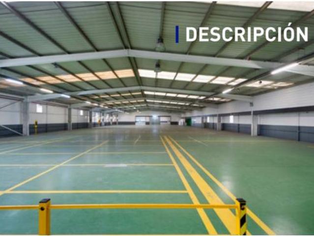 Nave en venta en Ibañez Betolatza, Erandio