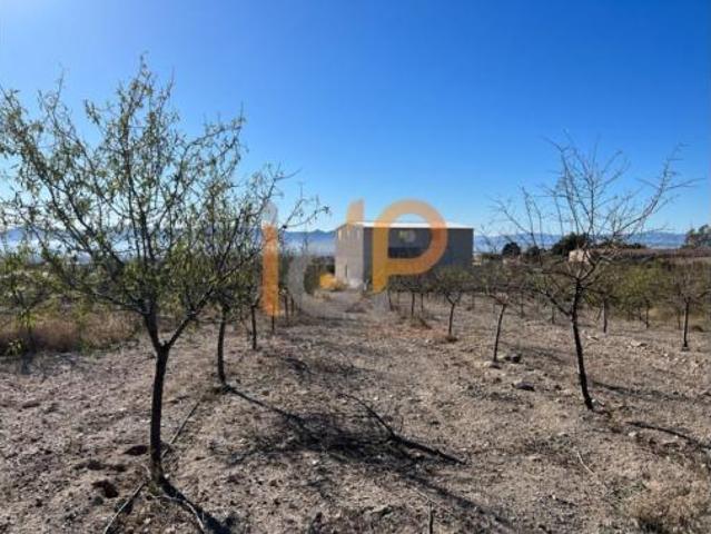 Nave en venta en Úrcal, Huércal-Overa