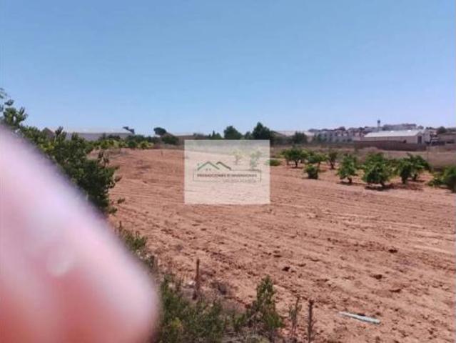 Nave en venta en Iniesta, Cuenca