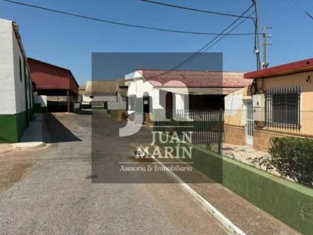 Nave en venta en Tiriez, Lezuza