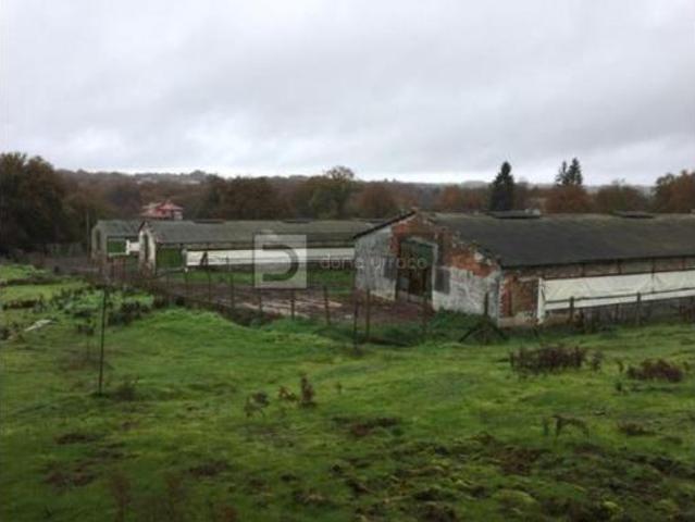 Nave en venta en Prexigueiró, O Pereiro de Aguiar