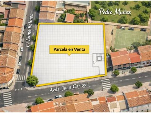 Nave en venta en Pedro Muñoz, Ciudad Real