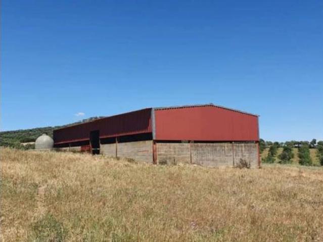 Nave en venta en Salvaleón, Badajoz