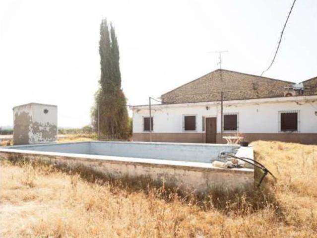 Nave en venta en La Minilla, Utrera