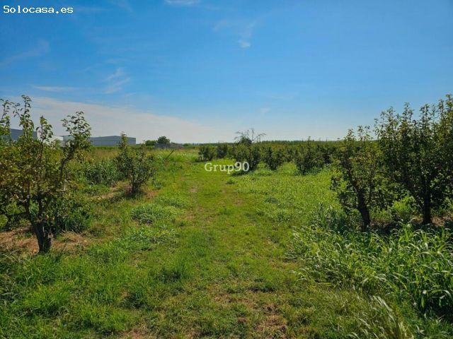 Nave en venta en Valle del Almanzora, Andalucía