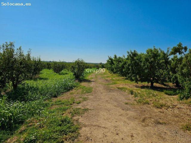 Nave en venta en Valle del Almanzora, Andalucía