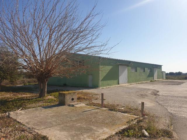 Nave en venta en Crevillent