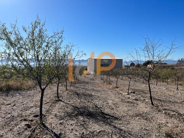 Nave en venta en Huércal-overa, Andalucía