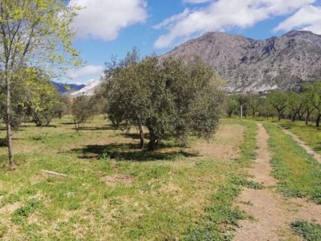 Nave en venta en Comarca del Valle de Lecrín, Andalucía