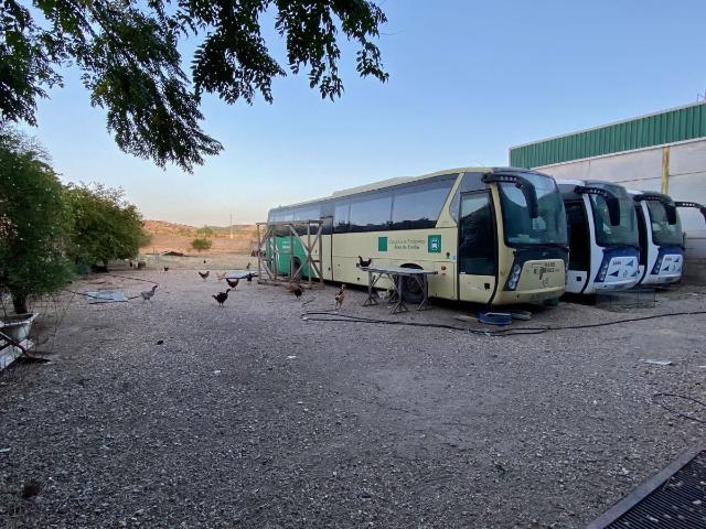 Nave en venta en Morón De La Frontera, Andalucía