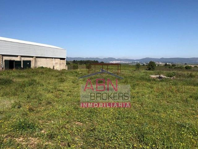 Nave en venta en Valencia