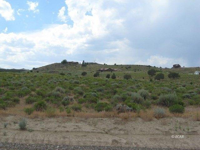 Land for sale in Wells, Nevada