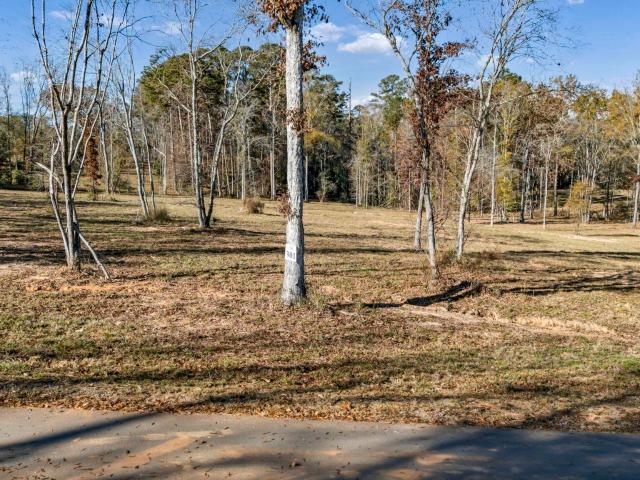 Land for sale in Prosperity, South Carolina