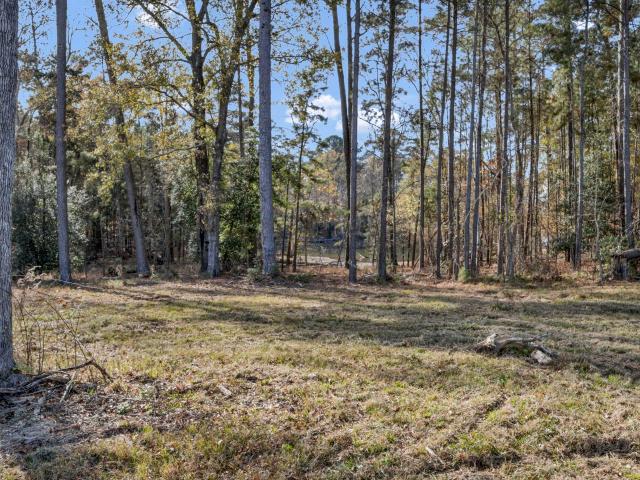 Land for sale in Prosperity, South Carolina