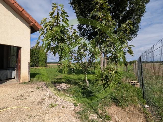 Maison vente à Chalon-sur-Saône, Navilly