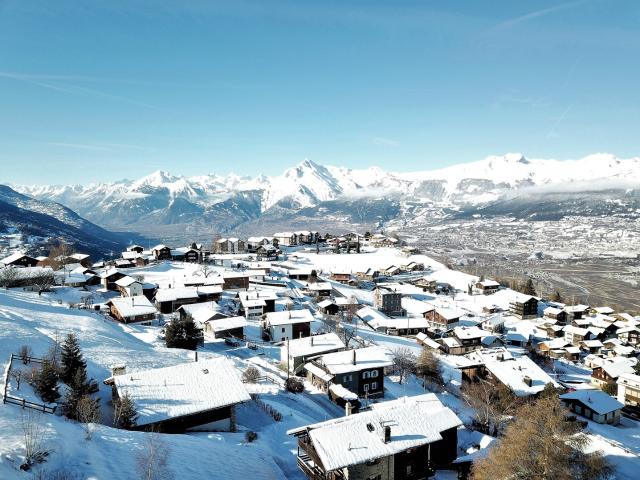 Wohnung kaufen in Mont-Noble, Wallis