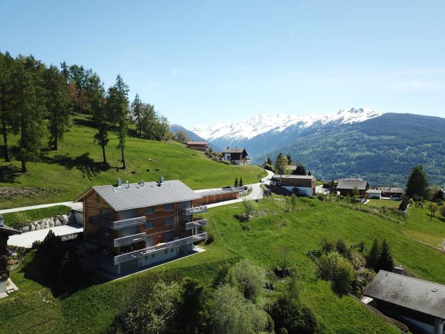Wohnung kaufen in Mont-Noble, Wallis