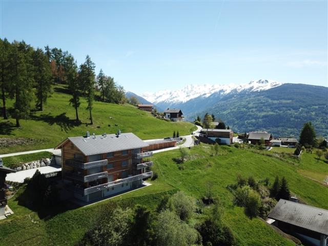Wohnung kaufen in Mont-Noble, Wallis