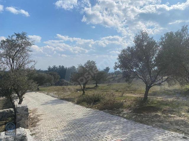 Kemalpaşa, İzmir içerisinde satılık mülk