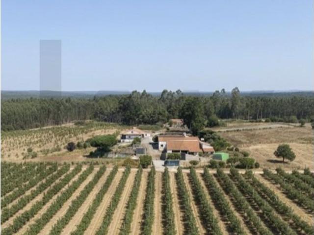 Terreno venda em Pederneira, Valado Dos Frades