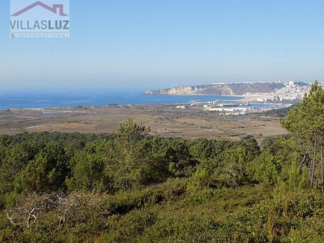 Terreno venda em Pederneira, Famalicão