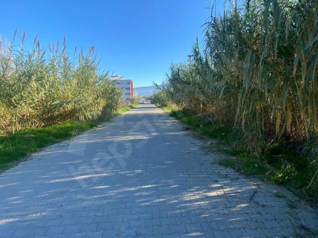 Arslanlı, Nazilli içerisinde satılık Arsa