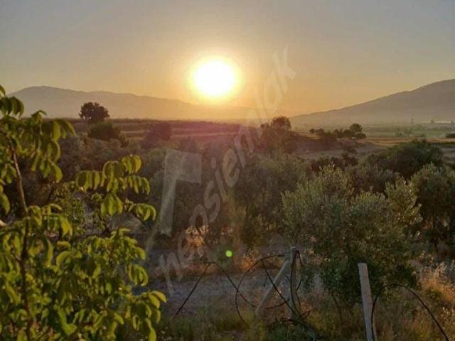 Alamut, Bozdoğan içerisinde satılık Arsa