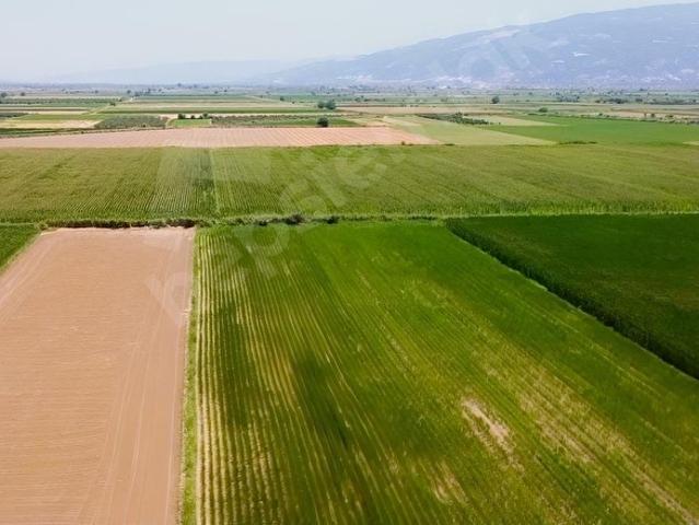 Nazilli, Aydin içerisinde satılık Arsa