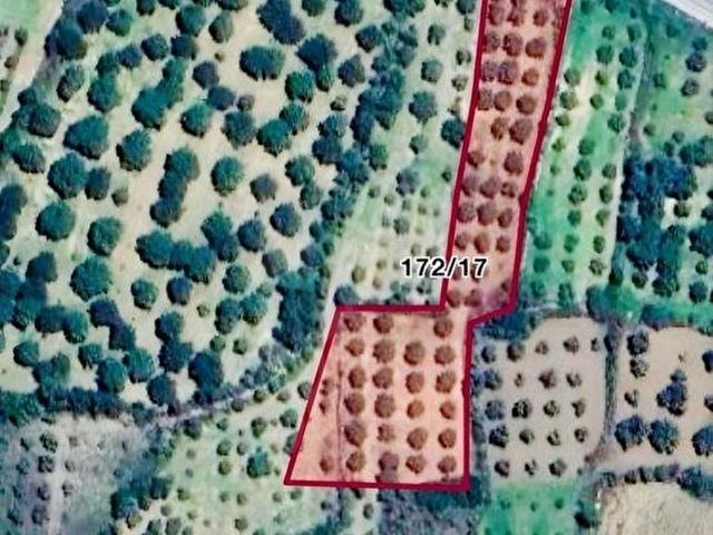 Karacasu, Aydin içerisinde satılık Arsa