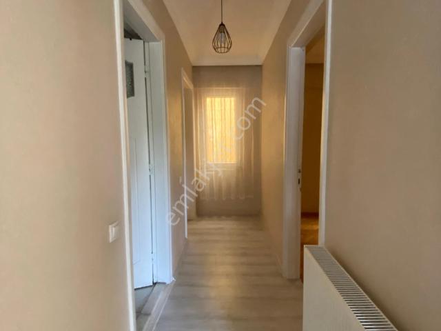 Nazilli, Aydin içerisinde kiralık mülk