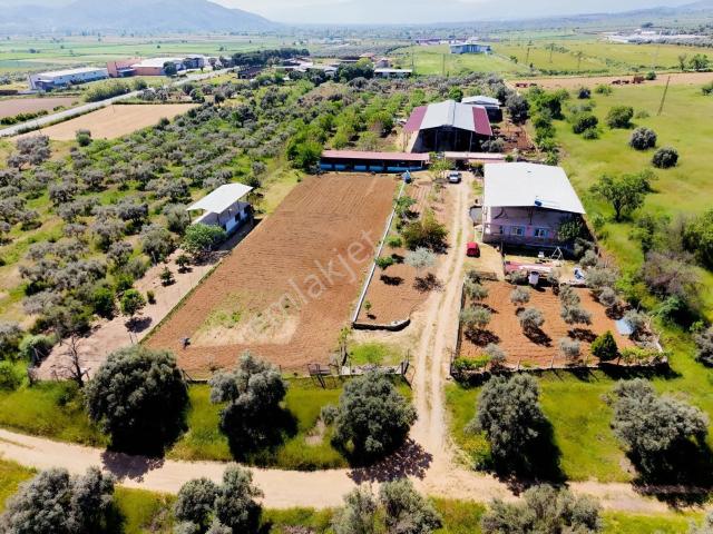 Bozdoğan, Aydin içerisinde satılık Villa
