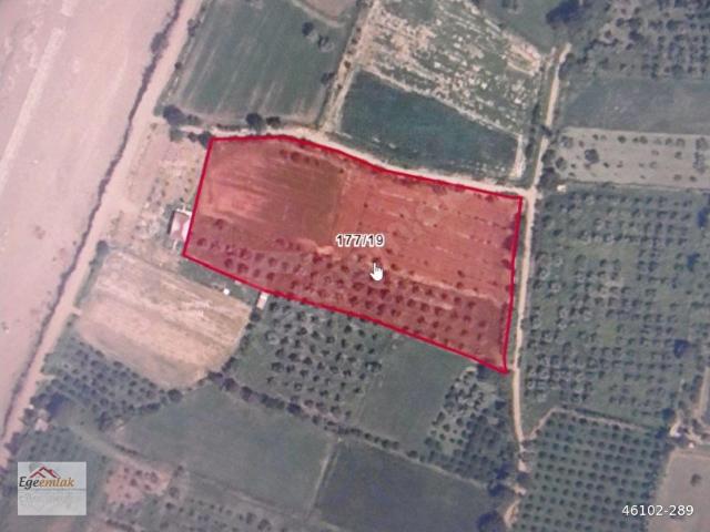 Arslanlı, Nazilli içerisinde satılık Arsa