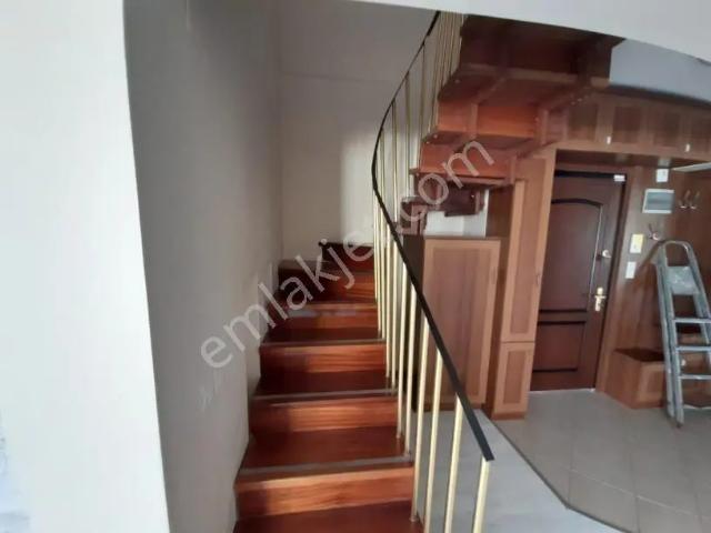 Dallıca, Nazilli içerisinde kiralık mülk