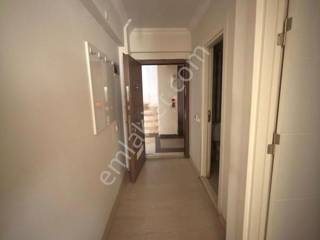 Nazilli, Aydin içerisinde kiralık mülk