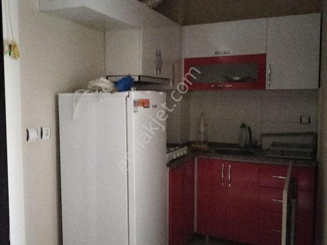 Nazilli, Aydin içerisinde kiralık mülk