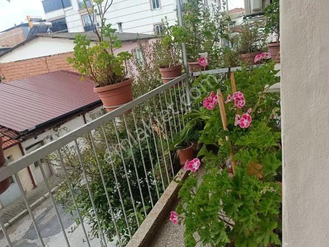 Nazilli, Aydin içerisinde satılık Villa