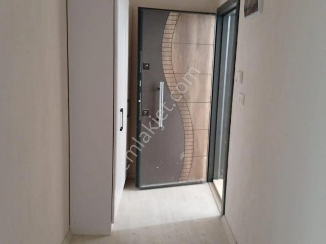 Nazilli, Aydin içerisinde kiralık mülk