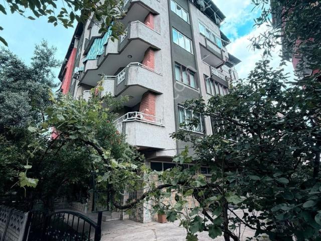 Nazilli, Aydin içerisinde satılık mülk