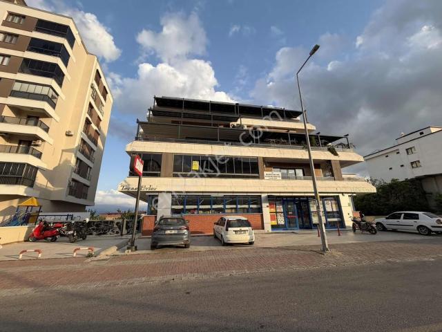Nazilli, Aydin içerisinde kiralık mülk
