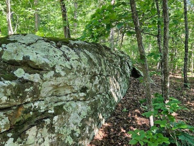 Land for sale in Ark