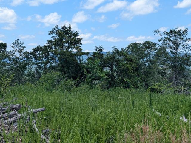 Land for sale in Ark