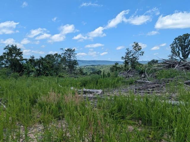 Land for sale in Marble Falls, Texas
