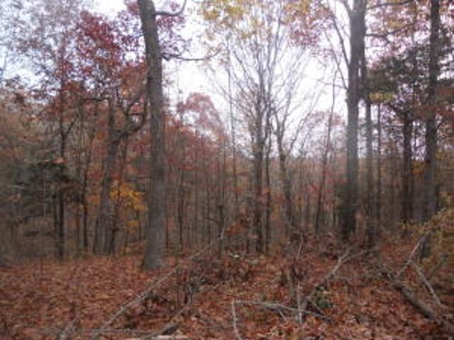 Land for sale in Ark