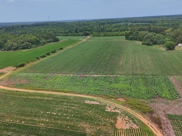 Land for sale in Gaston, North Carolina