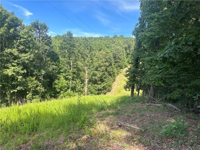 Land for sale in Ark