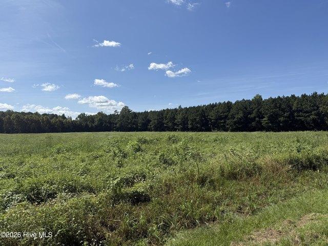 Land for sale in Chocowinity, Beaufort County