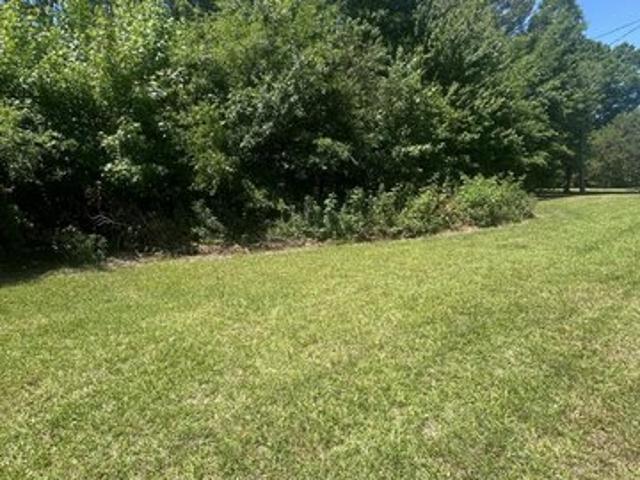Land for sale in Robbins, North Carolina