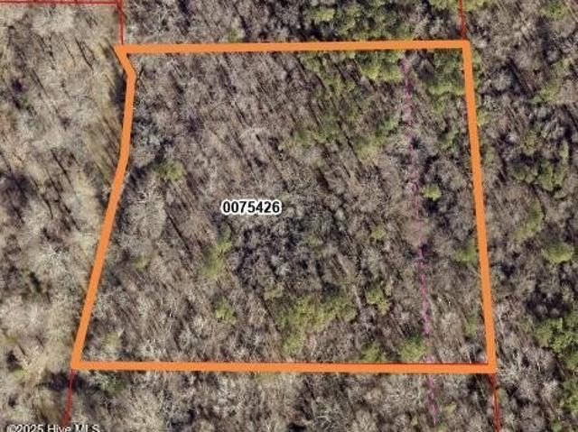 Land for sale in Pittsboro