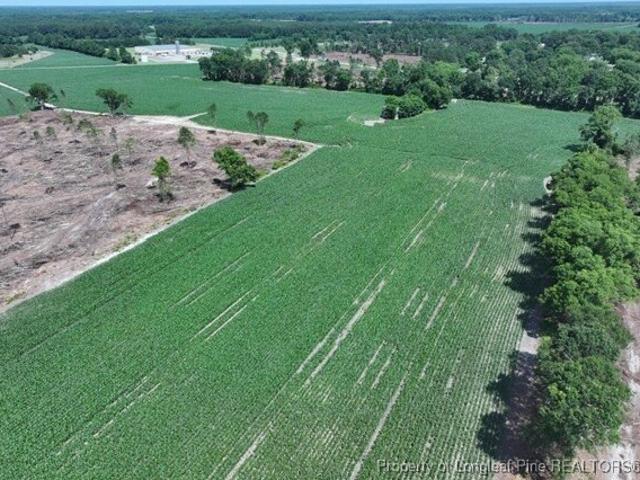 Land for sale in Red Springs, North Carolina